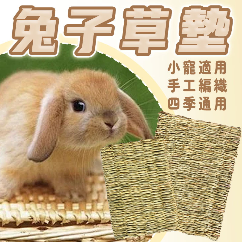 台灣出貨 草墊 兔子草墊 小寵睡墊 兔子墊子 兔子墊 牧草墊 兔子睡墊 兔子用品 兔子地墊 兔子腳墊 兔子腳踏墊