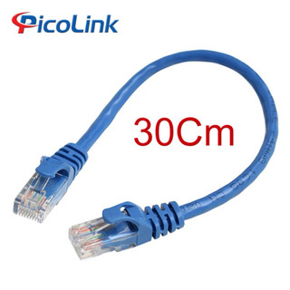 跳線 Cat6 30cm、UTP、Picolink PL-62300-03