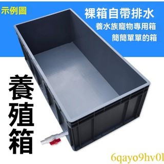 大號龜箱 養殖箱 烏龜缸 工業箱 水族箱 周轉箱 收納箱 魚缸 巴西龜專用箱 專用飼養箱 大型烏龜箱 塑膠養魚盆養魚池