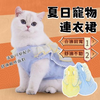 🌟現貨極速發🌟貓衣服 薄款夏季小貓咪可愛公主裙 毛孩衣服 貓 幼貓 貓咪衣服 寵物貓咪服飾
