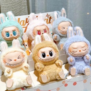 🚚現貨熱賣】labubu 拉布布 公仔 POP MART 心動馬卡龍2代 泡泡瑪特 糖膠 掛件 毛絨 盲盒 公仔 娃娃