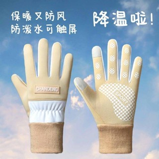 🛫【臺灣出貨】🛫秋冬季女款防寒保暖手套學生通勤防滑騎行戶外運動防潑水觸屏手套