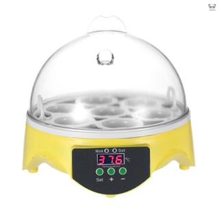 孵化器 7枚裝迷你雞蛋孵化器 自動控溫微型孵化機 家用實驗用教學用孵蛋器 大/小美規插頭（隨機出貨）