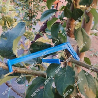 益家#果樹拉枝定型器開角器壓枝器果樹塑膠別枝器果多功能撥枝器黑色藍