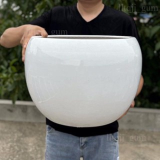 限時優惠✨簡約圓球大號花盆 陶瓷客廳綠植盆 陽臺千年木盆栽 多功能大花盆 金榕家用大花盆 多肉陶瓷種植盆 創意陶瓷花盆