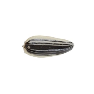奇奇怪怪🥑創意模擬瓜子小發夾少女趣味奇奇怪怪的髮卡搞怪髮飾迷你劉海夾子搞怪髮夾 髮飾 髮夾