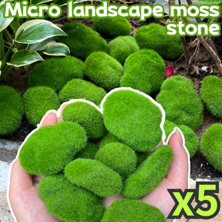 微景觀模擬苔蘚石 - 用於插花、花園景觀盆栽綠色植物裝飾 - 多種尺寸,5 件不褪色 - 人造 Diy 仿生綠色植物