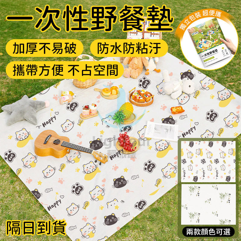 台灣現貨 加厚 一次性野餐墊 拋棄式野餐墊 戶外防潮墊 雙人防水沙灘墊子 戶外露營地墊子 草地墊 防水野餐墊 露營墊