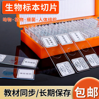 🌈「學校專用」科學教具 顯微鏡生物切片標本動物植物細胞顯微玻片切片套裝5片裝實驗器材