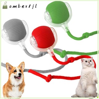 AMBER1智慧貓玩具,自動可充電電動貓球玩具,模仿老鼠尾巴快速軋製室內演奏狗貓訓練球寵物用品