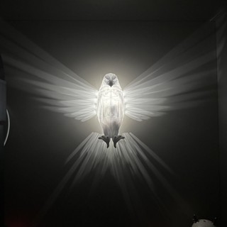 臺灣出貨 3D 老鷹壁燈 小夜燈 壁燈 夜燈 床頭燈 伴眠燈 燈具 充電式桌面網紅無線新款燈光簡約兒童房寢室