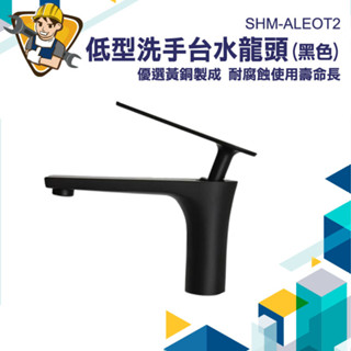 水龍頭 臉盆龍頭 面盆水龍頭 冷熱水龍頭 衛浴龍頭 衛生間水龍頭 衛浴裝置 冷熱出水 廚房龍頭 SHM-ALEOT2
