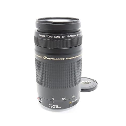 Canon/Canon 變焦鏡頭 EF 75-300mm F4-5.6 II USM [二手]