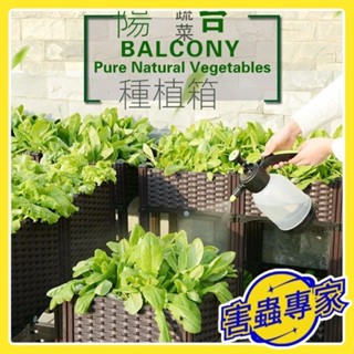 可開發票🔥種植箱 種菜箱 寵物箱 陸龜飼養箱 陽臺種菜 菜盆 蔬菜箱 蔬菜盆 栽培箱 園藝 花盆 種菜神器 YJ96