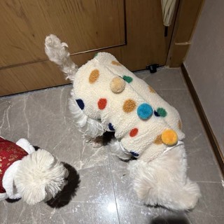 狗狗秋冬保暖馬甲外套法鬥柯基雪納瑞中小型貓咪寵物狗狗聖誕衣服