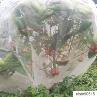 【臺灣出貨】植物防蟲網罩 果樹防蟲放白粉蝨防鳥防曬網套 蔬菜防果蠅套袋網 紗網