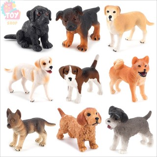 動物模型 模擬犬模型 實心靜態擺件