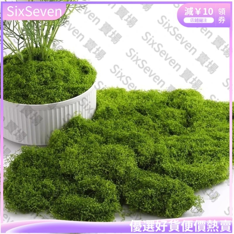 台灣出貨💥50/100/150/200g人造花園塑料苔蘚仿真永生綠色假苔蘚植物室內盆景花卉裝飾迷你景觀草坪ZS