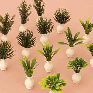Dollhouse娃娃屋模擬綠植盆栽模型迷你花盆家居場景裝飾擺件