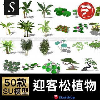 「SU模型」 中式植物sketchup 芭蕉蓮荷花迎客松羅漢松竹子草圖大師