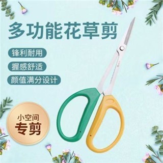 【🈵199出貨】多肉修枝剪刀 長柄園林園藝修花剪 小枝葉芽剪子 盆栽盆景工具