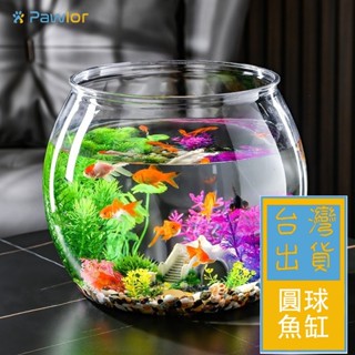 ✈️臺灣出貨✈️【PawLor | 寵物生活館】 魚缸 大尺寸圓球魚缸 塑膠造景魚缸 球形魚缸 圓球型塑膠魚缸 水族裝置