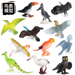 ♝限時批發♝兒童認知玩具模擬鳥類動物模型飛禽啄木鳥鸚鵡貓頭鷹孔雀擺件套裝