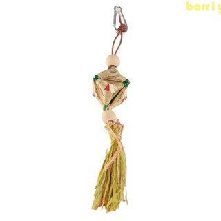 BARR1Y鳥咀嚼玩具,天然鞦韆寵物吸管咀嚼咬掛:,經久耐用手工製作搞笑小鳥互動玩具互動訓練玩具