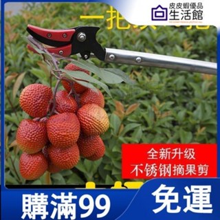 🔥滿99免運🔥摘果神器 修枝剪伸縮高空摘水果剪刀 加長採摘器 荔枝枇杷龍眼高枝剪