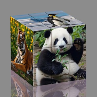 幼兒園兒童認識動物創意三階魔方益智玩具熊貓老虎圖案禮物mf4.16