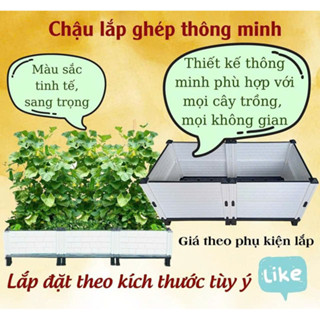 智慧、組裝的塑料盆 - 所有尺寸 - 用作方便的盆栽,用於種植玫瑰、攀緣花卉和蔬菜