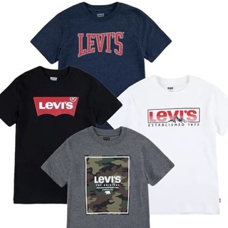 Levi's 青年 經典短TEE 兩件組 米彩 山脈 經典 LEVIS 情侶款 T-shirt 短T t恤