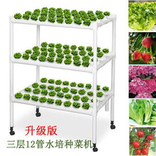 【臺灣-出貨】水培 管道式 蔬菜 種菜機 無土栽培 裝置 自動化 多層 水耕 種植架 魚菜 共生