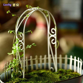 lucky✨鐵藝迷你拱門花架微景觀造景花插園藝攀爬小支架植物爬藤架盆栽拱形杆鐵架多肉花盆裝飾擺件