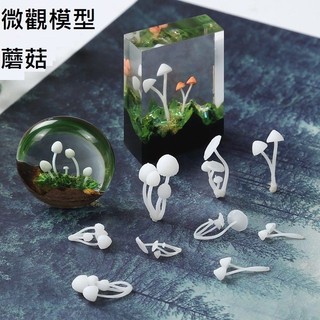 【微觀模型-蘑菇】3D立體 蘑菇 模型 滴膠素材 水晶膠填充物