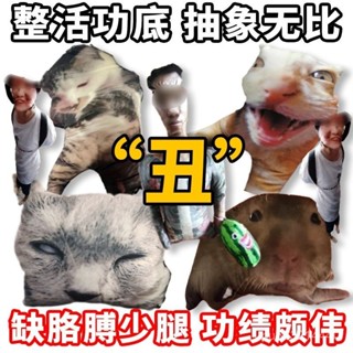 小美家醜貓抱枕來圖定製異形定做創意模擬靠枕禮物寵物玩偶貓咪照片靠墊 爆火玩偶 可愛玩偶 解壓玩偶 05VV