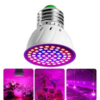 220V E27 60LEDs 植物生長燈植物燈 Led 全光譜室內植物溫室水培生長花卉種子蔬菜生長燈泡