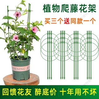 爬藤花架園藝支柱架 植物支架 爬藤架 支架桿 花架 支柱 園藝支架 植物架 龜甲龍 球型花架