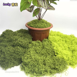 lucky✨30-50g 絲狀毛線模擬苔蘚草皮造景人造假青苔DIY微縮場景模擬藤蔓微景觀仿真植物配件盆景盆栽鋪面裝飾