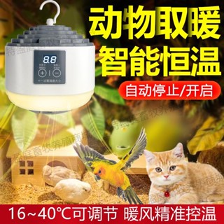 寵物專用 暖風機 小型 暖風機 迷你 1桌面小型 暖風機 暖氣機 寵物取暖器 恆溫加熱 倉鼠 鸚鵡 鳥用爬行動物保溫燈