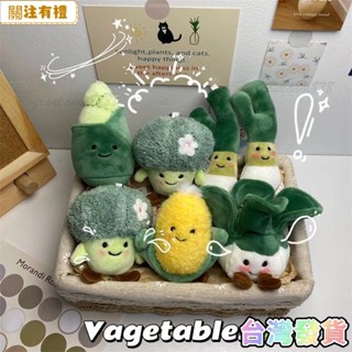 臺灣出貨 可愛蔬菜蔬果毛絨弔飾掛件 食物弔飾花椰菜白菜玉米竹筍苦瓜香菜蔥薑蒜鑰匙扣小玩偶娃娃弔飾 包包掛飾 禮物禮品