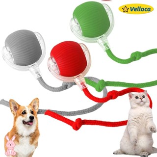 VELLOCA1智慧貓玩具,自動快速軋製電動貓球玩具,模仿老鼠尾巴可充電室內演奏狗貓訓練球寵物用品