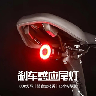 【騎行必備 新竹現貨】公路車 自行車 山地尾燈 充電單車 山地車 公路夜騎警示燈 騎行騎燈裝備車燈