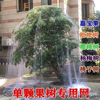 ✅臺灣出貨 防蟲網罩果樹防蟲放白粉蝨防鳥防曬網套蔬菜防果蠅套袋網紗網 植物防蟲網罩 果樹防蟲 果園養殖網 防蟲罩新款果