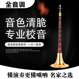 黃氏管樂嗩吶樂器全套烏木紅木百年老紅木小葉紫檀初學者入門喇叭 FFMA