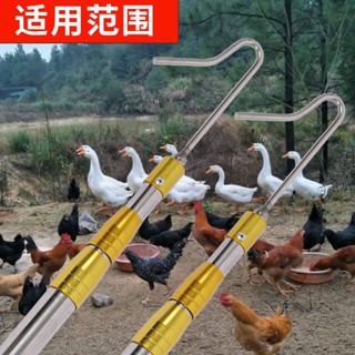 【網拍精選+開箱影片】抓雞神器逮雞鉤子捉雞工具養殖場捕雞捕鴨捕鵝腳套捉雞鉤戶外捕捉