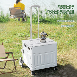 🔥【新品上新】🔥 雙軸萬向輪 萬用折疊購物車 折疊推車 小拉車 折疊購物車 折疊手推車 爬梯推車 購物籃 收納車