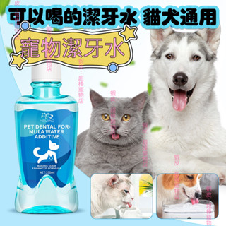 【隔日到貨】ig同款🔥犬貓通用潔牙液 大容量 犬用潔牙液寵物潔牙水 不愛刷牙 口臭 狗狗漱口水 寵物潔牙水