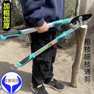 剪樹枝 專用剪刀修剪粗枝大剪刀 果樹修枝 大力剪強力剪子藝園林工具 伸縮修枝剪樹剪剪定鋏修枝剪樹枝剪採果945888