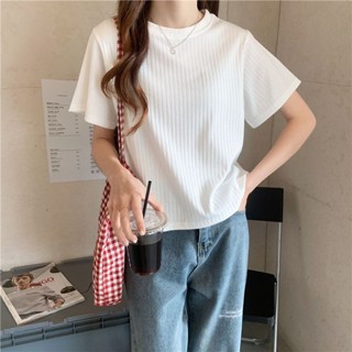 《現貨下單》【1.6萬人收藏】大尺碼短袖t恤女夏季2023年新款體恤白色內搭短版短袖打底小衫上衣
